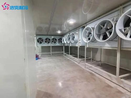 肉类速冻冷库 食品速冻冷库的建造设计