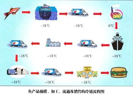 被低估的水产品冷链大市场,冷链企业不容忽视