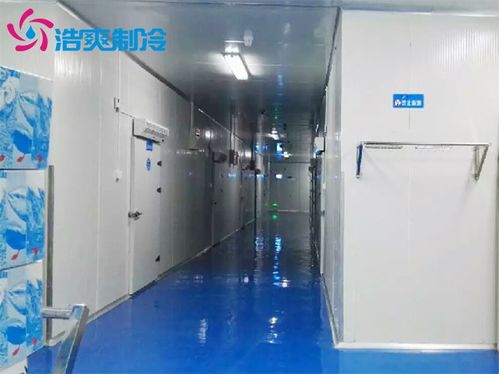 水产冷库建造一个100平方的海鲜速冻冷库造价