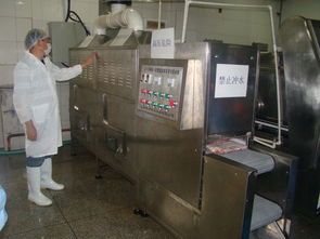 猪肉微波解冻设备 肉制品微波解冻机