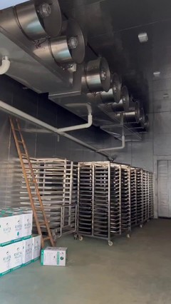 海南储存保鲜冷库制冷工程