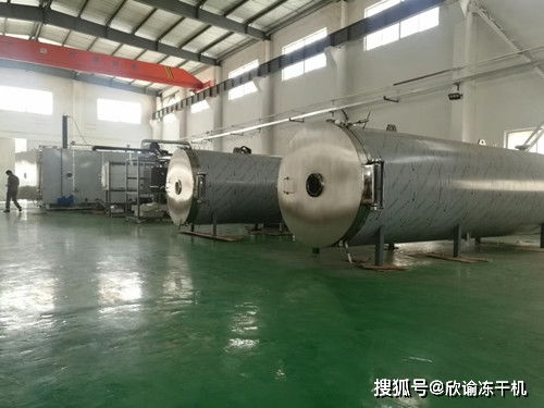 真空冷冻干燥机干燥过程中与温度之间有何关联